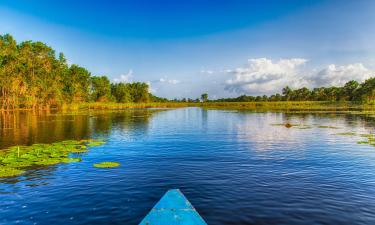 Flights from Belfast to Suriname