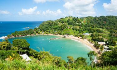 Skrydžiai iš Grenados į Trinidadą ir Tobagą