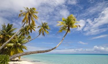 Flights from Samoa to Fiji