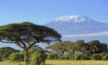 Flights from London to Tanzania