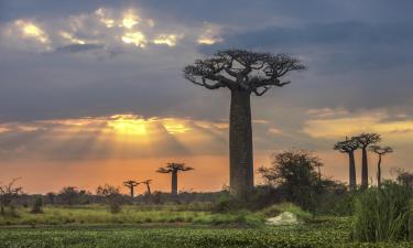 Hoteluri în Madagascar