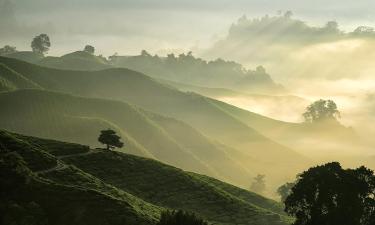 Letovi za Kamerun