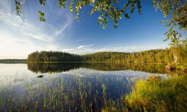 Hotels in Finland