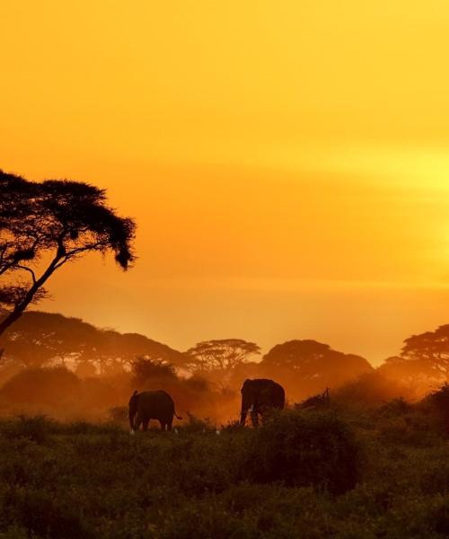 A beautiful view of Kenya.