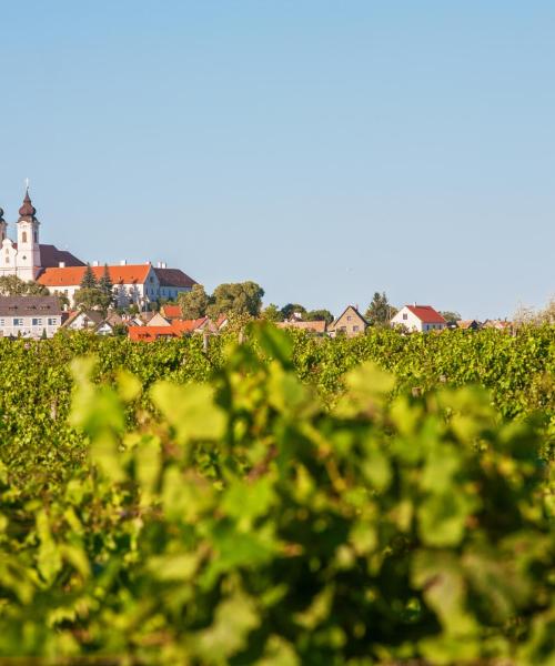 Ein schöner Blick auf Ungarn