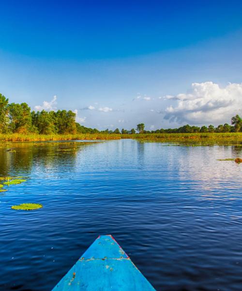 Uma bela vista do Suriname