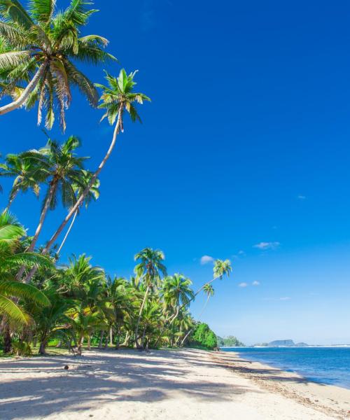 A beautiful view of Samoa.