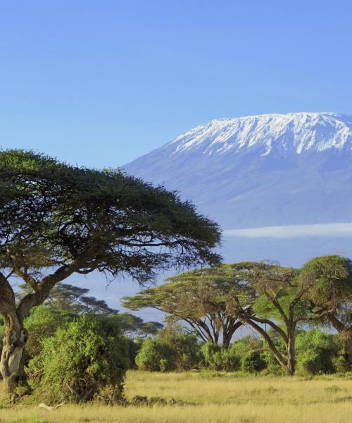 A beautiful view of Tanzania