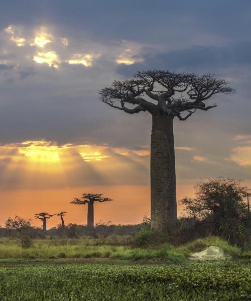 Permandangan indah di Madagascar