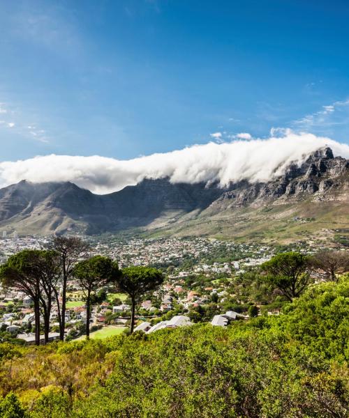 منظر جميل في جنوب أفريقيا