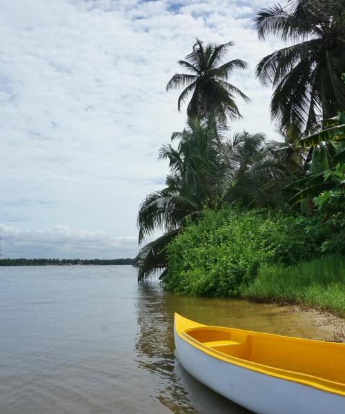 A beautiful view of Ivory Coast