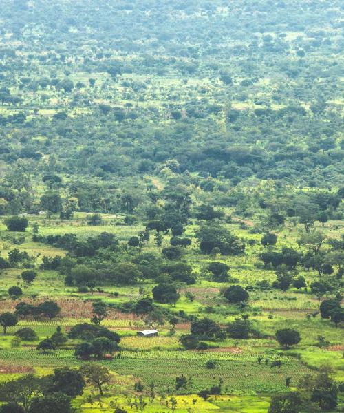 A beautiful view of Benin