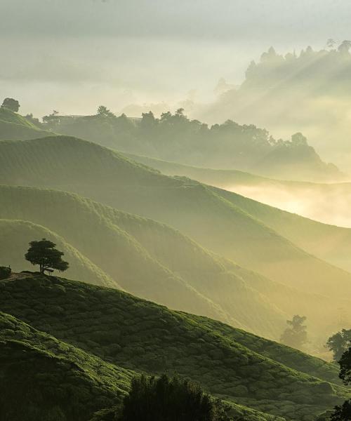 Magandang view of Cameroon