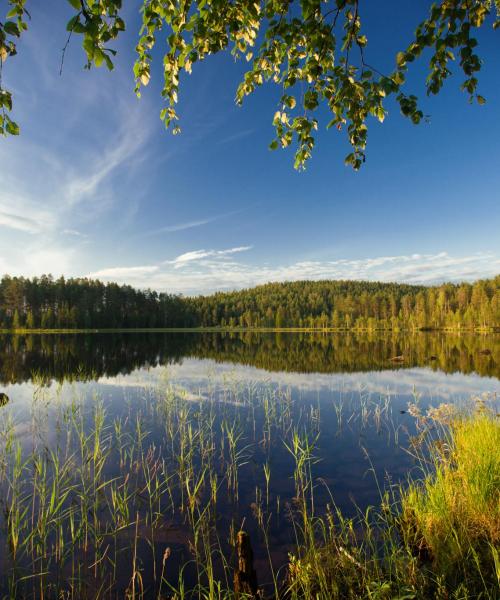 A beautiful view of Finland.