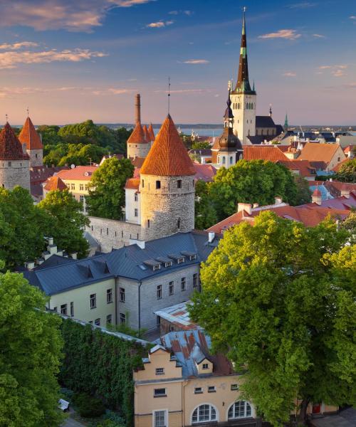 Uma bela vista da Estônia