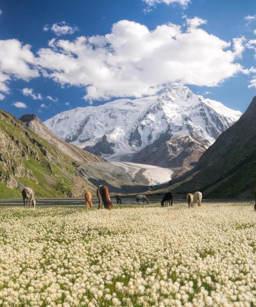 Krásný pohled na Kyrgyzstán