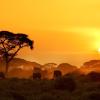 Flights from the Central Africa Republic to Kenya