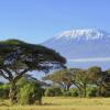 Flights from Malawi to Tanzania