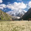 Flights to Kyrgyzstan