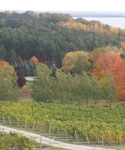 Stadtteil von Traverse City, in dem unsere Gäste am liebsten übernachten.