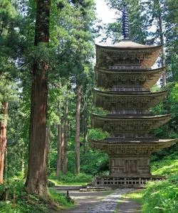 District of Tsuruoka where our customers prefer to stay.