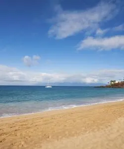 District of Lahaina where our customers prefer to stay.