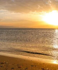 District of Limassol where our customers prefer to stay.
