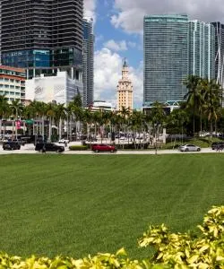 District of Miami where our customers prefer to stay.