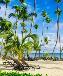 District of Punta Cana where our customers prefer to stay.