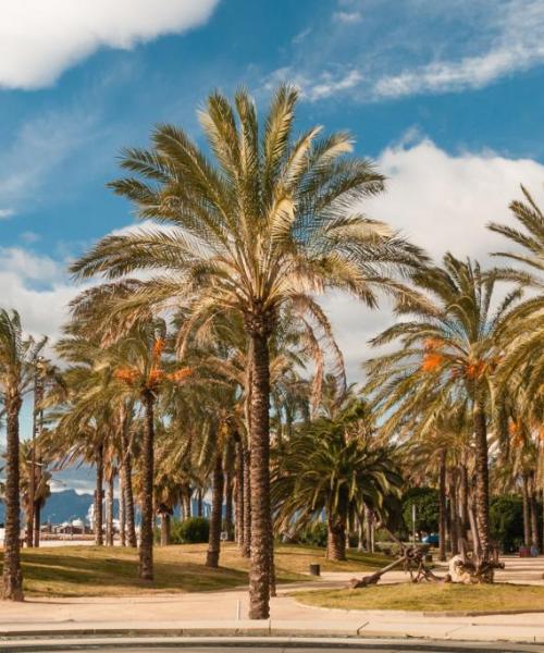 District of Salou where our customers prefer to stay. 