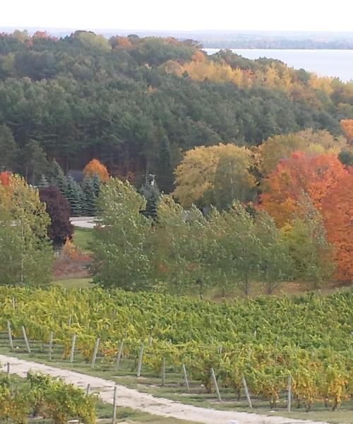 Traverse City kerülete, ahol a vendégek szívesen szállnak meg.