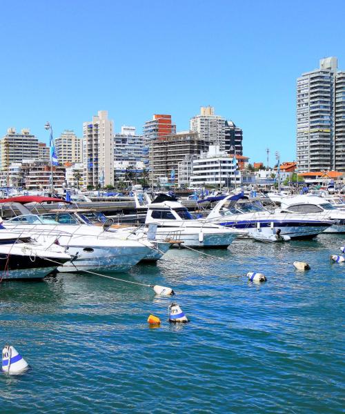 Zona de Punta del Este en la que prefieren quedarse nuestros clientes.