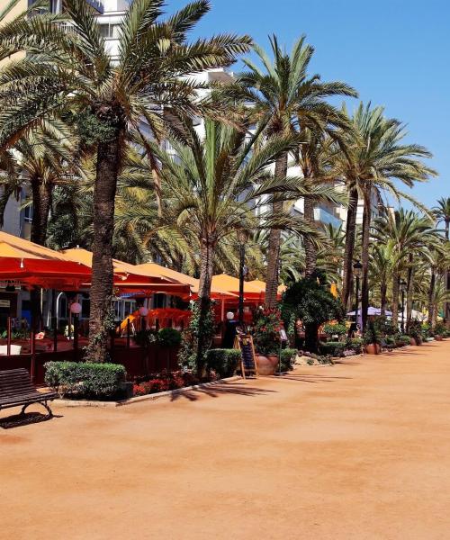 District of Lloret de Mar where our customers prefer to stay. 