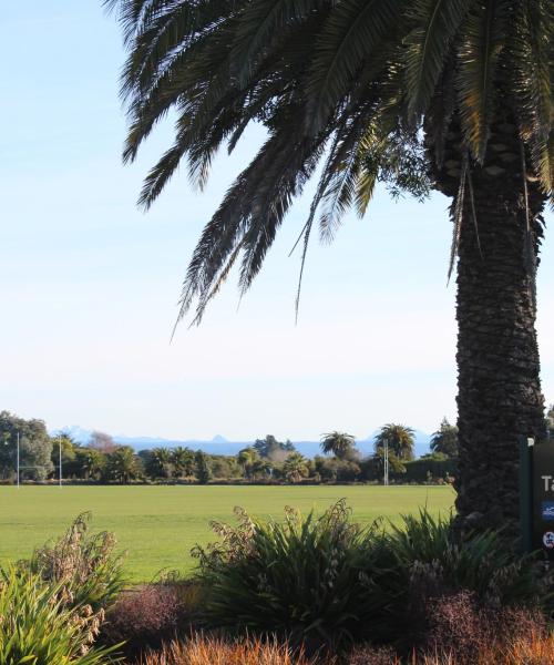 Stadtteil von Nelson, in dem unsere Gäste am liebsten übernachten.