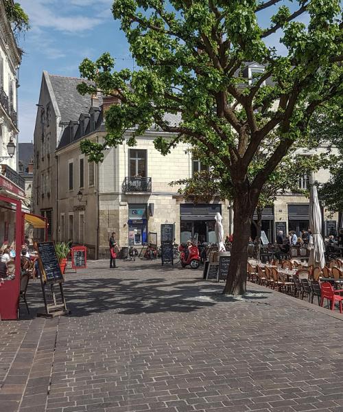 Quartier de Tours où les voyageurs préfèrent séjourner.