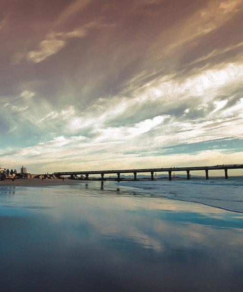 부킹닷컴 고객들이 숙소를 예약할 때 선호하는 포트엘리자베스 내 지역. 