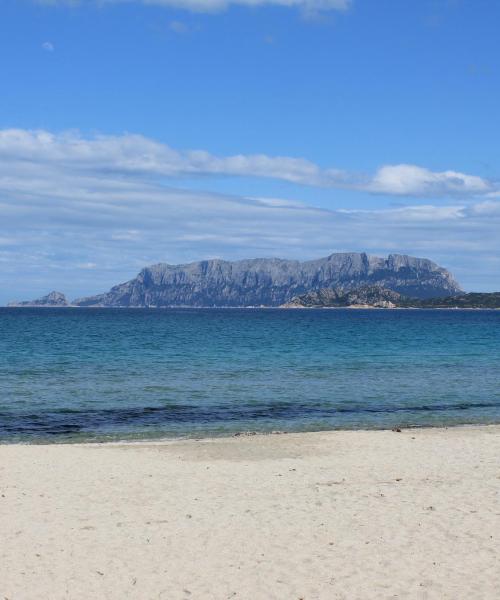 District of Olbia where our customers prefer to stay.
