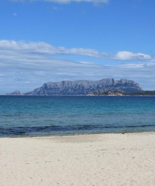 Zona de Olbia en la que prefieren quedarse nuestros clientes.