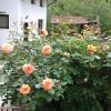 Guest House Planinska Sreshta