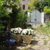 Perla B&b