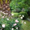 Franklyn Guesthouse
