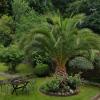 Franklyn Guesthouse
