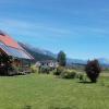 Die Buche