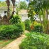 Road View, Speightstown, St Peter, Barbados.