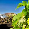 El Islote, 90, San Bartolomé 35550, Lanzarote, Spain.