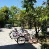 Country House L'Ippocastano