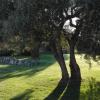 B&B Majore