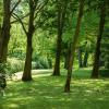 Residenze Bellaria Park Riverside