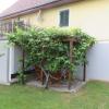Apartment Deller Renate