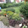 Apartment Deller Renate